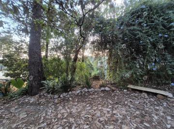 Terreno / Lote · 1296m² · Venta Terreno Fraccionamiento del Bosque, Cuernavaca - T72