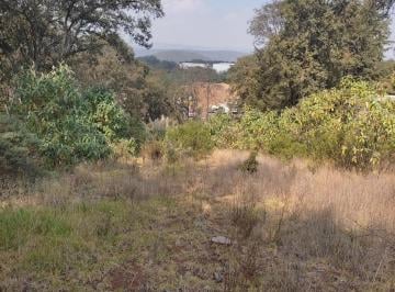Terreno / Lote · 25000m² · Terreno en Espíritu Santo