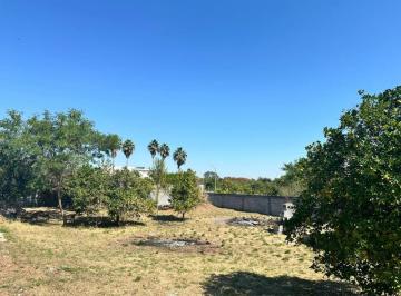 Terreno / Lote , Allende · Terreno Campestre Allende nl (Por Rio Ramos)