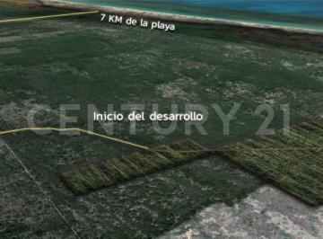 Terreno / Lote · 300m² · Terreno de Inversion en Venta en Maroa Telchac Pueblo Merida