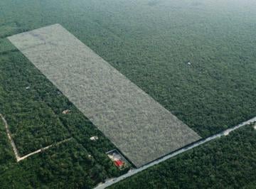 Terreno / Lote , Tulum · Terreno en Venta Carretera Tulum - Coba Quintana Roo