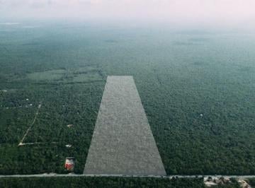 Terreno / Lote , Tulum · Terreno en Venta Carretera Tulum - Coba Quintana Roo
