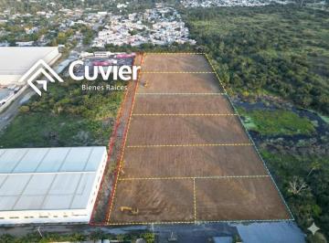 Terreno / Lote · 5000m² · Terreno en La Pedrera