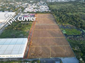 Terreno / Lote · 5000m² · Terreno en La Pedrera