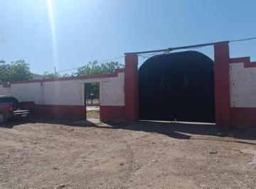 Quinta · 4000m² · Nogalera en Carretera Juarez 23.5 Km