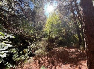 Terreno / Lote , Tlalpan · Ajusco 3ha Terreno Horizontal
