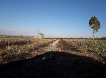 Terreno comercial · 18500m² · Terreno en Venta con Agave Sobre Carretera