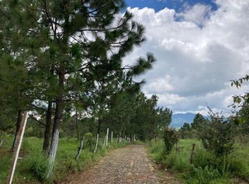 Terreno / Lote · 10000m² · Terreno Plano en Venta en Cofradia Tapalpa