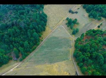 Terreno comercial · 20000ha · Terreno Plano en Venta en Juanacatlán