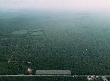 Terreno / Lote , Tulum · Terreno Comercial en Venta Carretera Tulum - Coba Tulum Quintana Roo