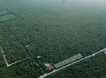 Terreno / Lote , Tulum · Terreno Comercial en Venta Carretera Tulum - Coba Tulum Quintana Roo