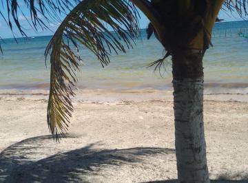 Vista Frente al Mar · Terreno Frente Al Mar en Venta Mahahual Cerca de Hotel Arenas
