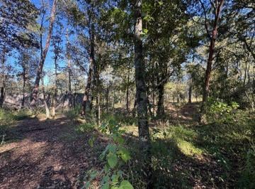 Terreno / Lote , Huasca de Ocampo · Terreno en Venta en Huasca, Hidalgo.