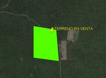 Terreno / Lote , Umán · Terreno en Venta Mérida, Ubicación Estratégica Cerca de Ciudad Caucel