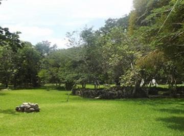 Terreno / Lote , Mérida · Terreno en Venta en Merida, Carr. a Progreso F - 289, 13.15 Ha $600 m² Comisaria Suytunchen