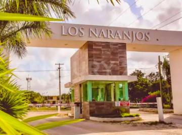Departamento · 41m² · 1 Recámara · 1 Estacionamiento · Renta Estudios Amueblados en Cancún