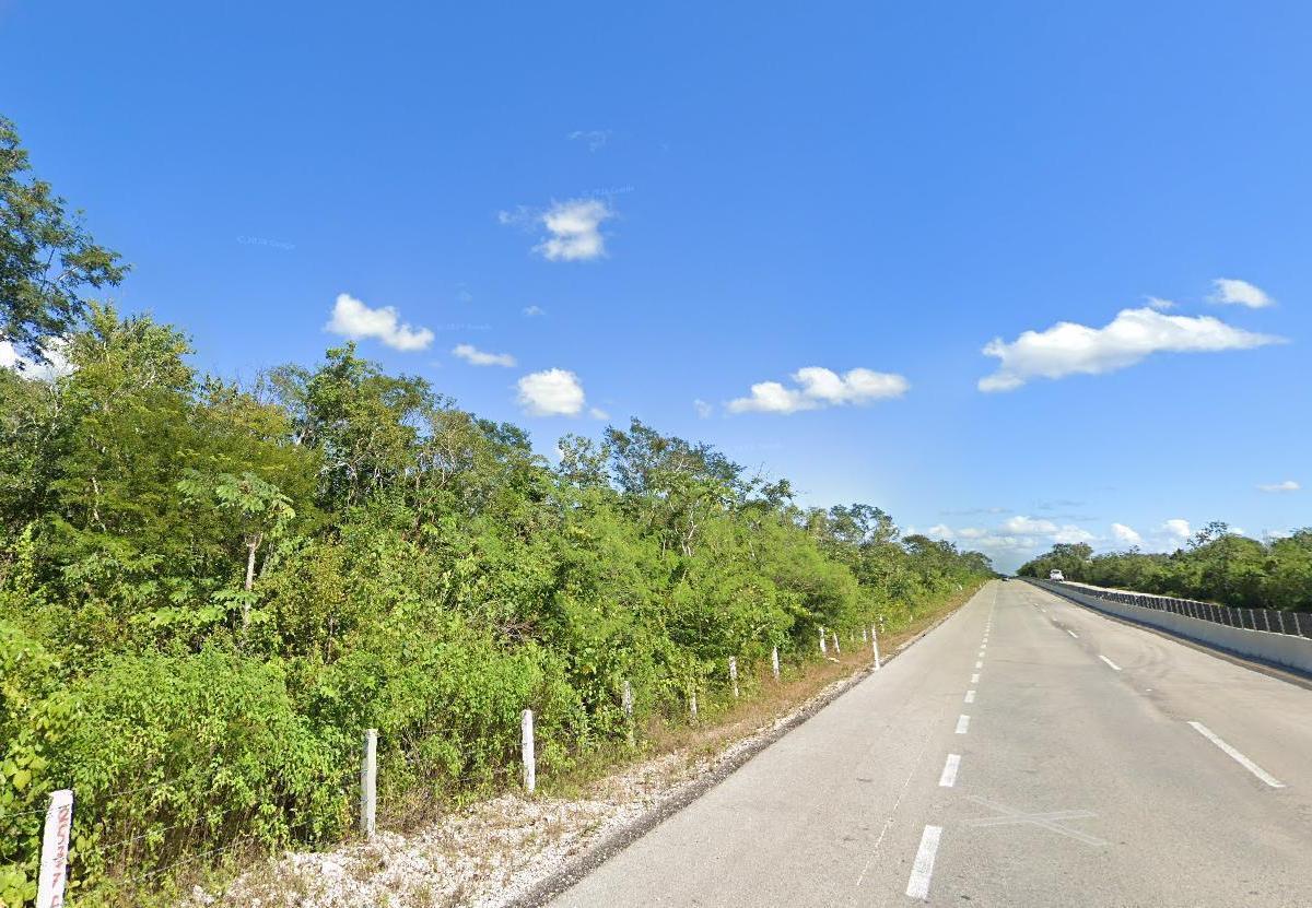Investment Opportunity in Leona Vicario: 20,000 m&sup2; with Development Potential