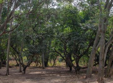 Terreno / Lote · 972m² · Lote Increíble en Venta en Los Pinos Campestre