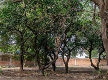 Terreno / Lote · 992m² · Increíble Lote en Venta en Los Pinos Campestre
