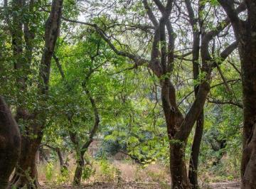 Terreno / Lote · 985m² · Lote Arbolado en Venta en Los Pinos Campestre