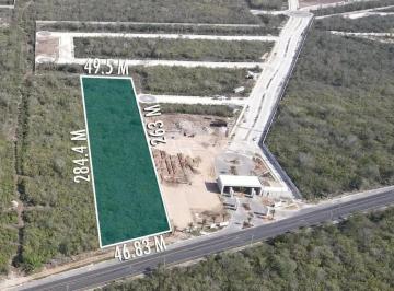 1 · Terreno Venta Para Desarrollar Al Norte en Xcunya Mérida Yucatan