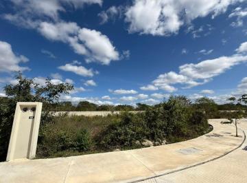 Terreno / Lote , Mérida · Terreno en Venta en Merida, Yucatan en Campo Magno
