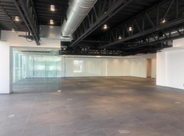 Oficina · 350m² · 8 Estacionamientos · Oficina en Renta a Una Cuadra de Insurgentes Excelente Ubicación