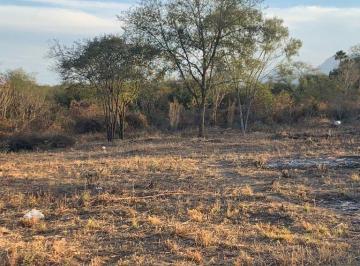 Terreno / Lote · 19m² · Terreno en Montemorelos