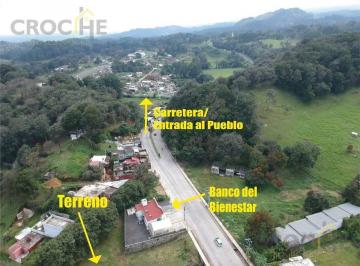 Terreno / Lote · 1005m² · Terreno en Venta Municipio Rafael Lucio Acceso a Servicios