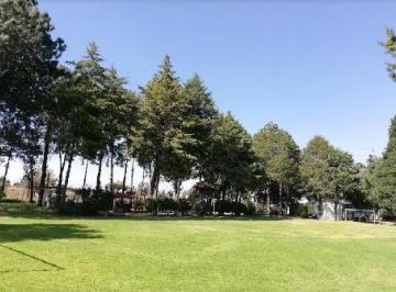 Terreno / Lote · 8967m² · Terreno en Venta - (4)
