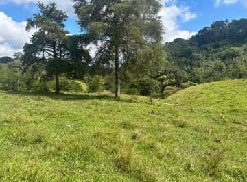 Terreno / Lote · Terreno - Teocelo