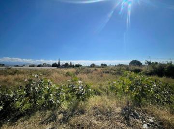 Terreno / Lote · 7000m² · Terreno Cuautla La Mojonera Atlatlauacan