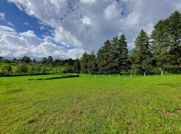 Terreno / Lote · 901m² · Terreno en Venta - (4)