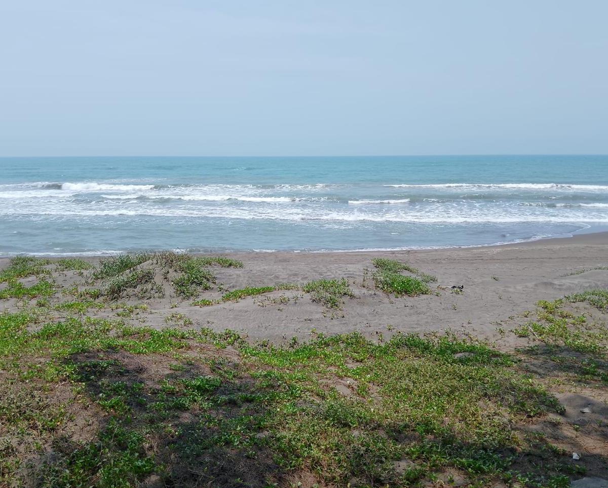 Terreno Frente Al Mar en Vega de Alatorre