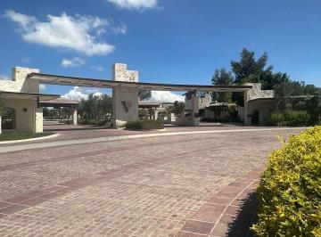Terreno / Lote en Venta  Congregacion Lagunillas · Terreno de 375 m² en Venta, Congregacion Lagunillas