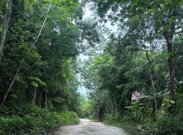 Terreno / Lote , Tulum · Terrenos en Venta en Tulum Cobá