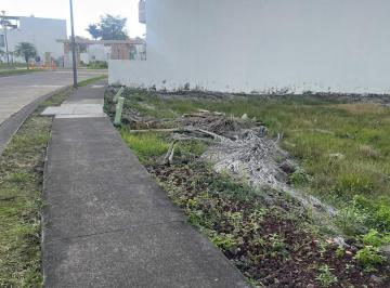 Terreno / Lote · 229m² · Terreno en Venta