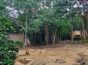 Terreno / Lote , Tulum · Terreno en Venta Tulum Cobá