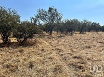 Terreno / Lote · 31949m² · Terreno en Venta