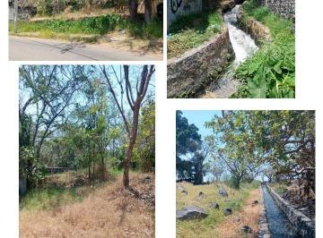 Terreno / Lote · 2313m² · Terreno en Venta en Temixco Morelos