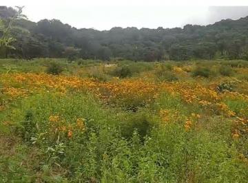 Terreno / Lote , Atemajac de Brizuela · Terreno en Venta en Atemajac de Brizuela, Jalisco