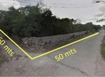 Terreno / Lote , Mérida · Terreno Venta Konchem Merida Yucatan