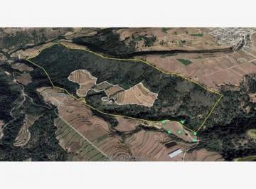 Terreno / Lote · 20m² · Terreno - Terrenate