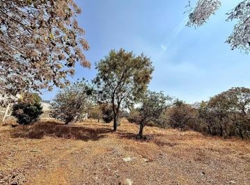 Terreno / Lote , Cuernavaca · ¡Terreno Bardado en Zona Norte de Cuernavaca!, a 10 Minutos de La Paloma de La Paz