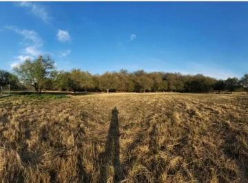 1 · Terreno en Venta en Montemorelos, Nl.
