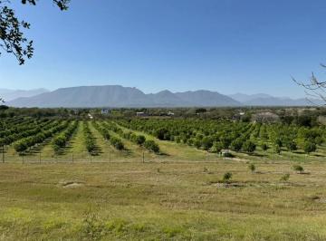 1 · Terreno Campestre en Venta en Cadereyta