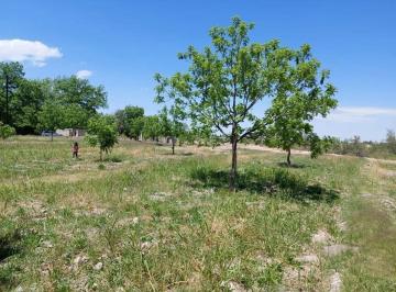 1 · Terreno en Venta en Parras, Coahuila
