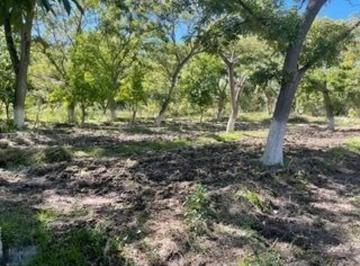 1 · Terreno en Venta en Parras de La Fuente, Coahuila