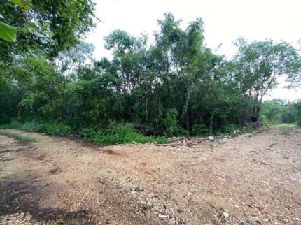 Land for Sale in Pueblo Yalcon, Valladolid, Yucatán
