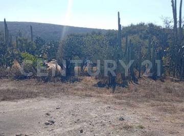 Terreno / Lote · 2394m² · Venta de Terreno, Soledad del Rio, Queretaro